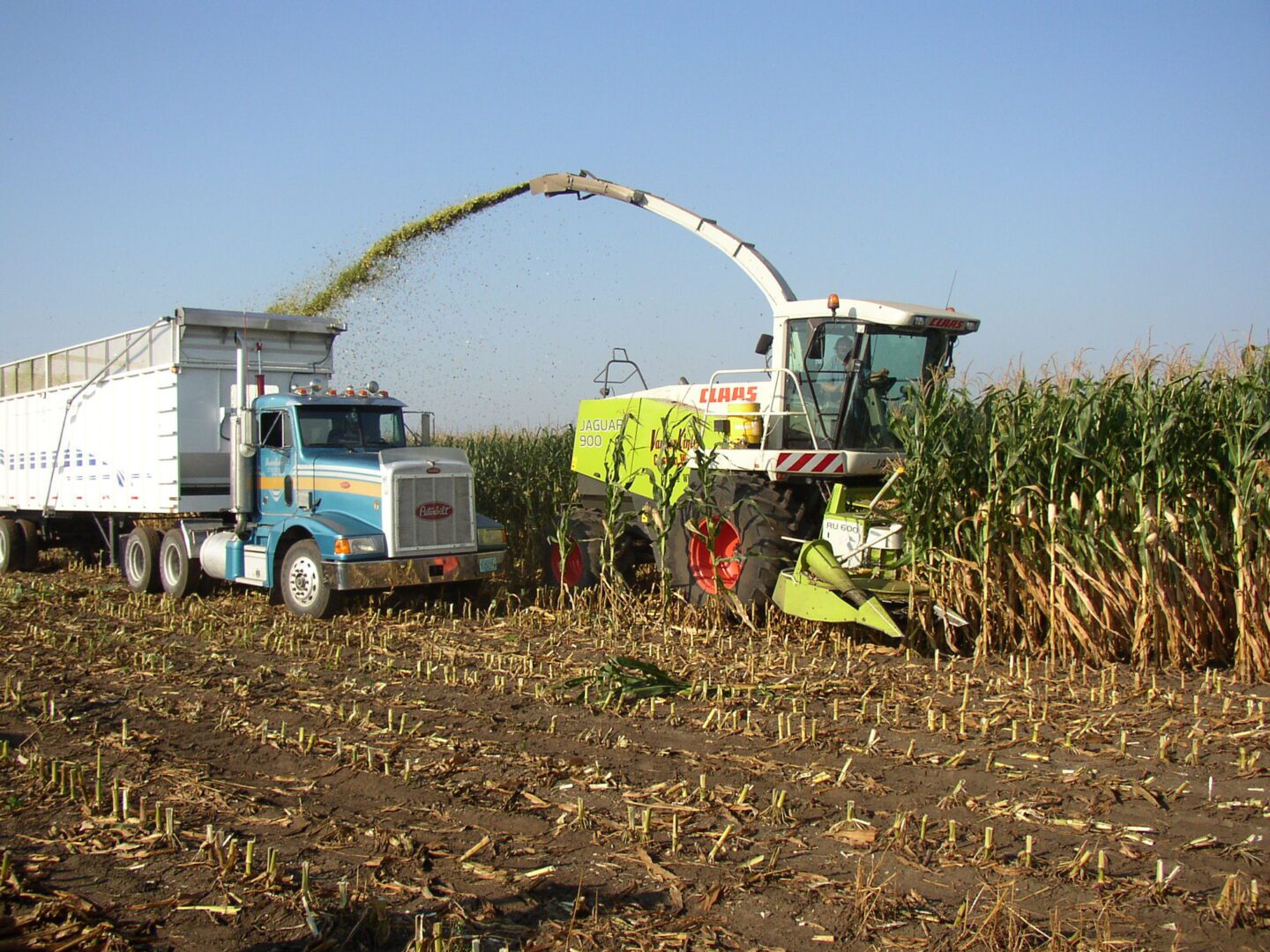 A tractor and trailer are in the field.