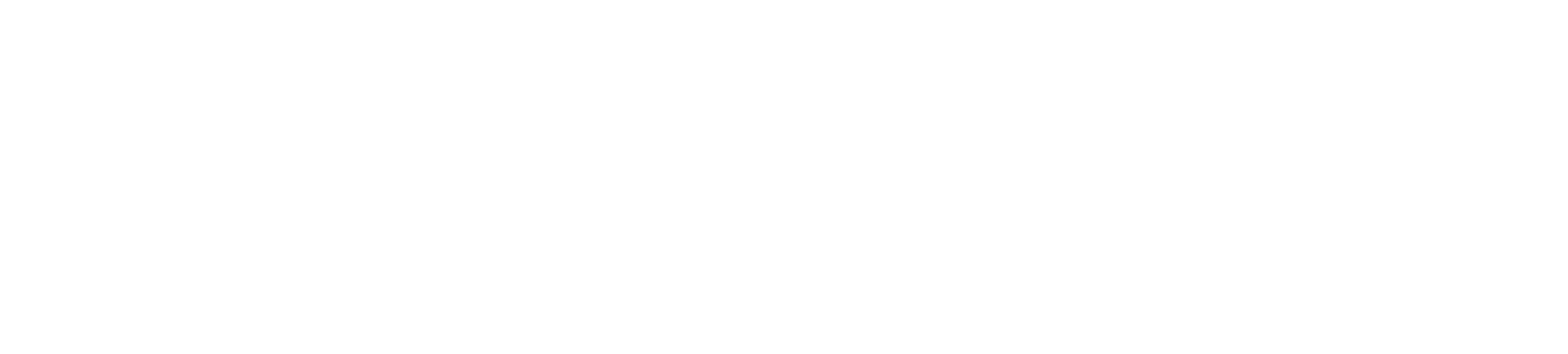 A green background with the words " carpe festoe excell " written in white.